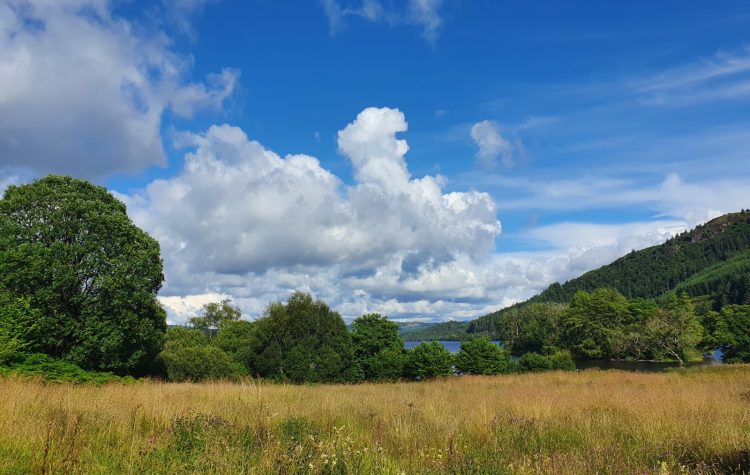 Loch Avich Brief Fish - 9 Aug 2021 (6)
