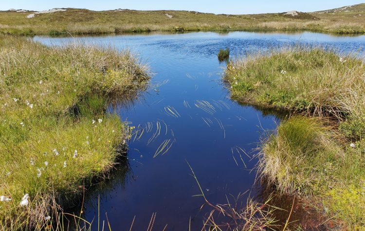 Loch nan Cinneachan - 27 Jun 2019 (10)