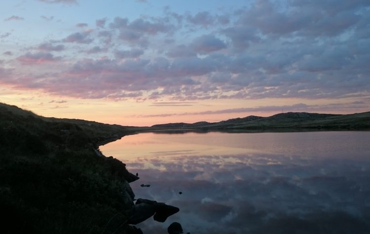 Mill Lochs - Jun 2015 (1)