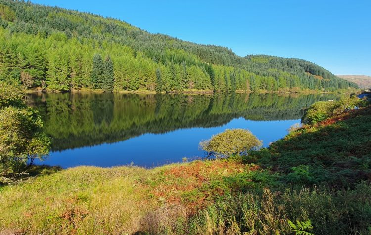 Oude-Reservoir-Sept-2020-4-Large