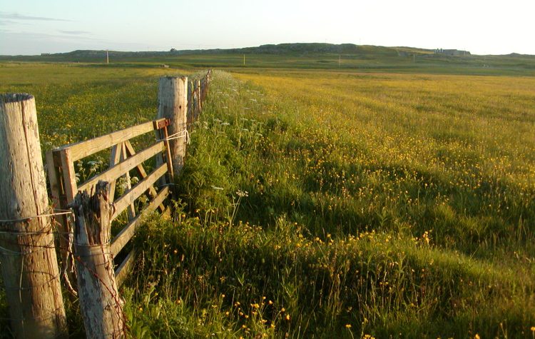 The Totronald Machair fields