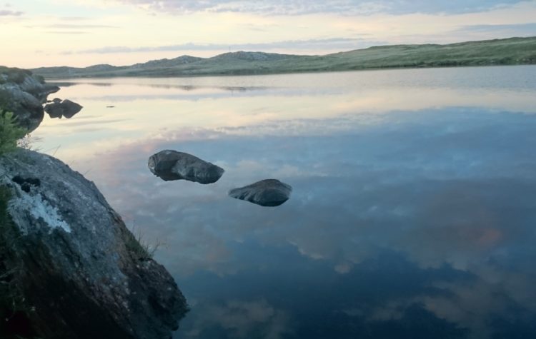 Mill Lochs - Jun 2015 (4)