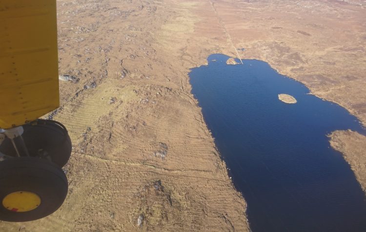 Neilly 9th Birthday - Feb 2018 (14)