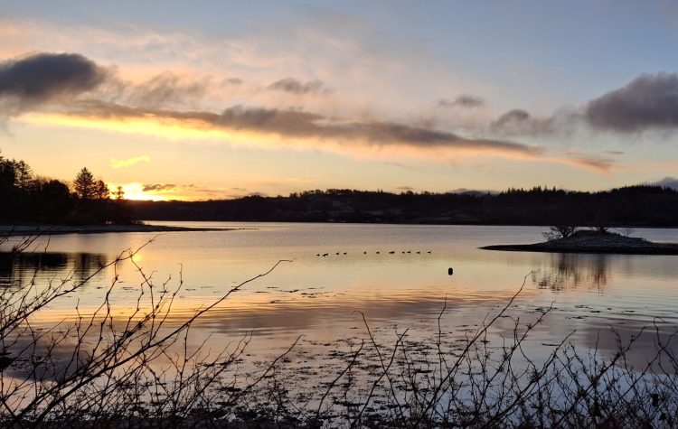 North Connel Loch Etive Shore - Nov 2024 3