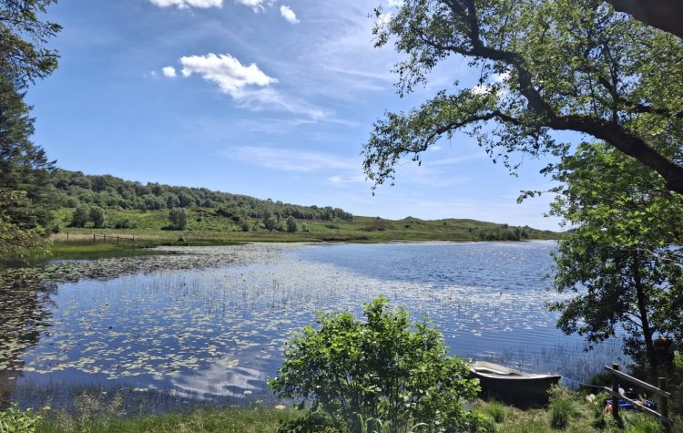 Dubh Loch Mòr - July 2025 (2) (Large)
