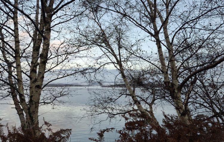 Loch Creran, Benderloch - 24 Oct 2025 (Large)