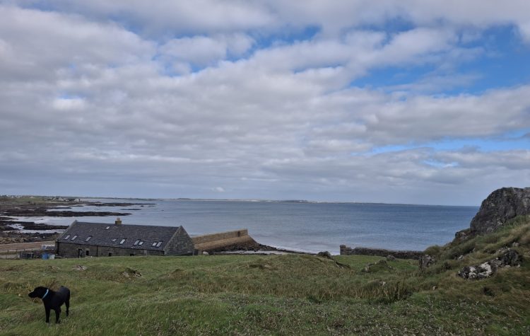 Pete's visit to Tiree after Storm Amy - Oct 2025 (23) (Large)