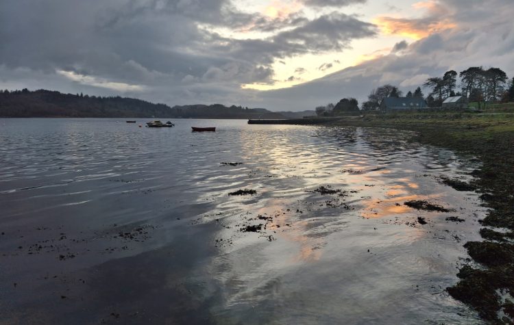 Loch Etive, by Ardchattan - 6 Nov 2025 (1) (Large)