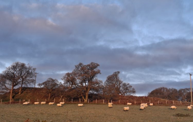 Loch Etive in Winter Sun - Nov 2025 (4) (Large)