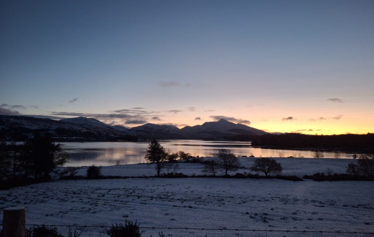 20260105_081538 (Large)