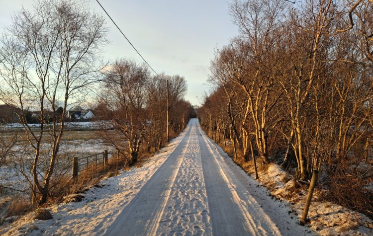 20260105_153730 (Large)