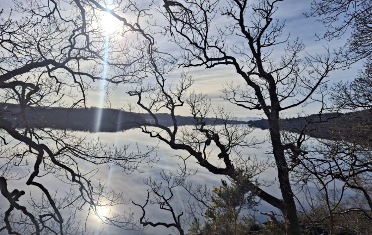 Loch Etive, by Bonawe, in finally Spring Sunshine - 19 Mar 2026 (3) (Large)
